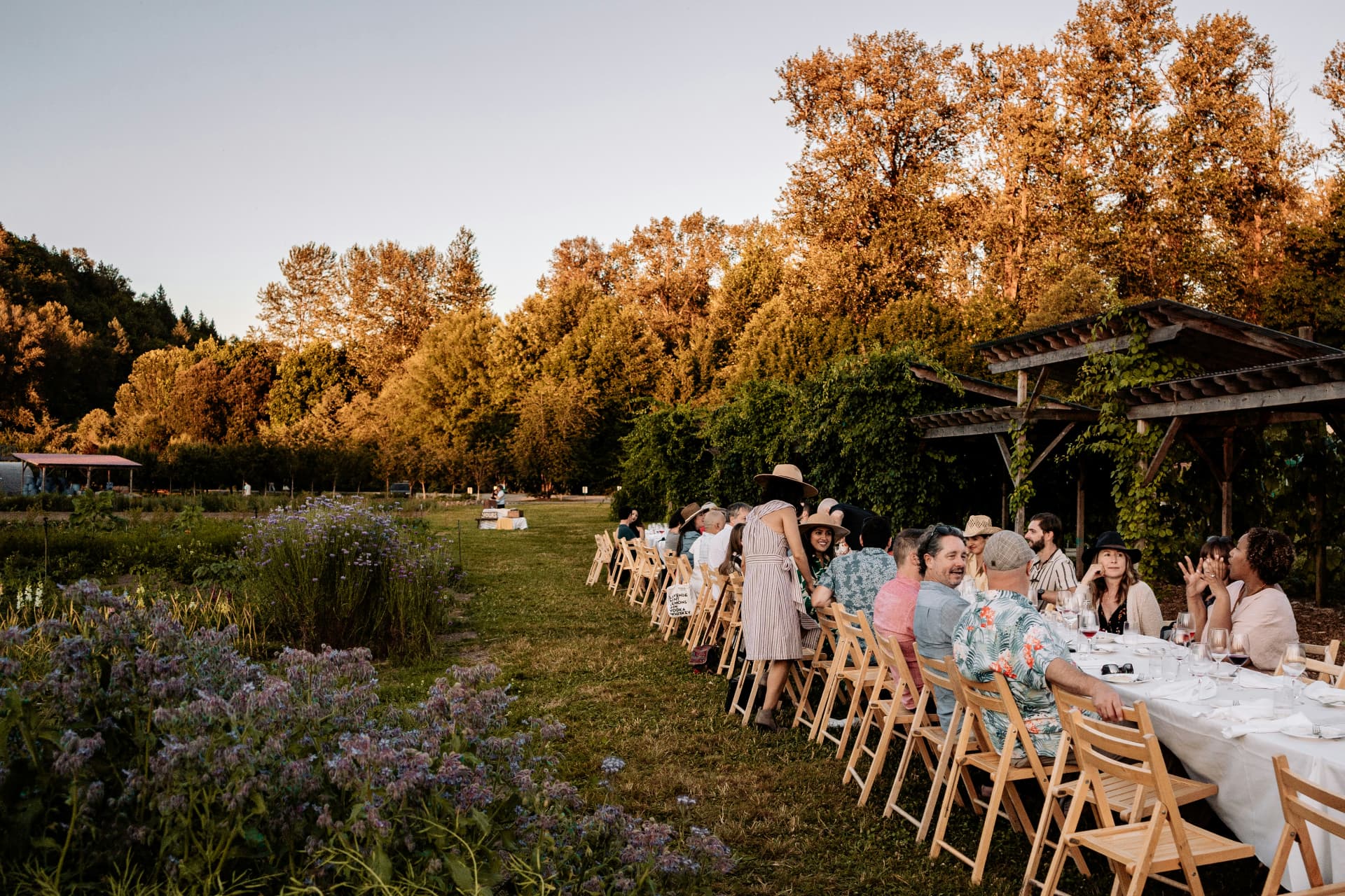 Guests talking along one long table in a garden at golden hour